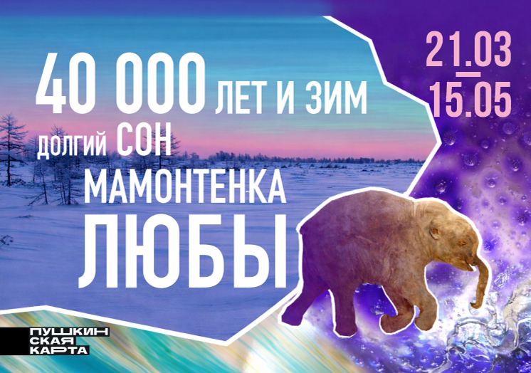 Выставка «40 000 лет и зим. Долгий сон мамонтенка Любы»