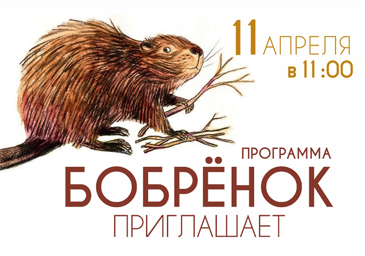 Культурно-образовательная программа «Бобренок приглашает»